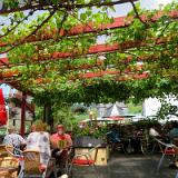 1907G 057 Mittag in Zell an der Mosel